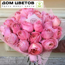 25 пионовидных роз Romantic Antike 50 см