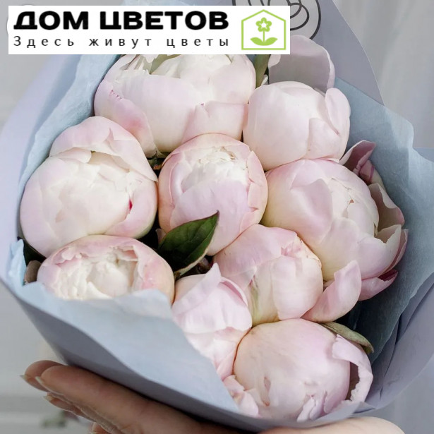 Букет из 9 нежно-розовых пионов Premium