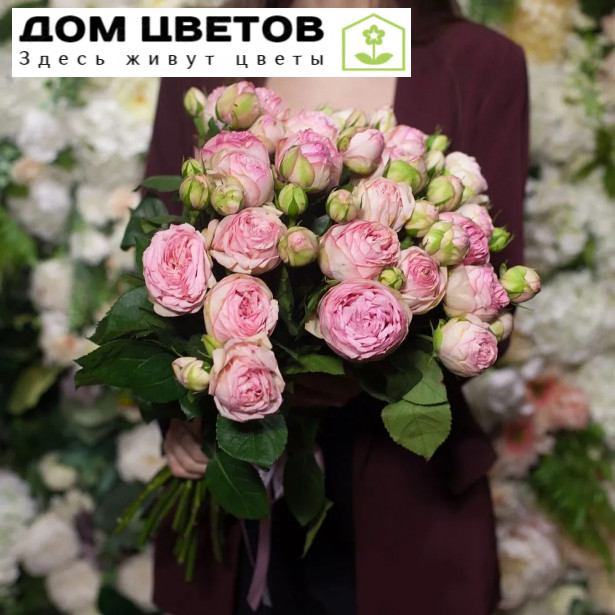 25 пионовидных роз Bridal Piano 50 см