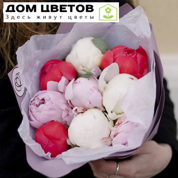 9 пионов микс Premium