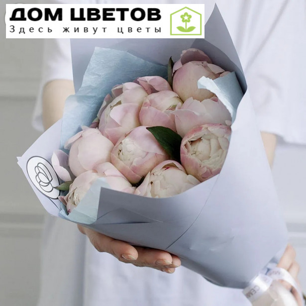 Букет из 9 нежно-розовых пионов Premium