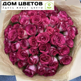 Букет из 51 розовой розы биколор 40 см (Кения)