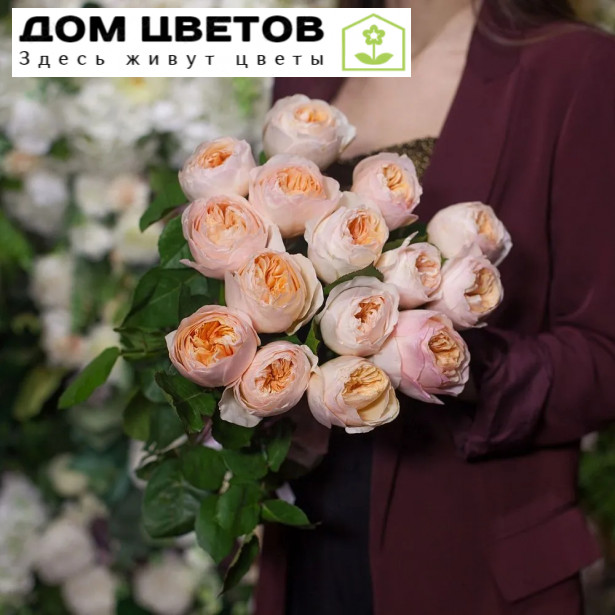 15 пионовидных роз Juliet 50 см