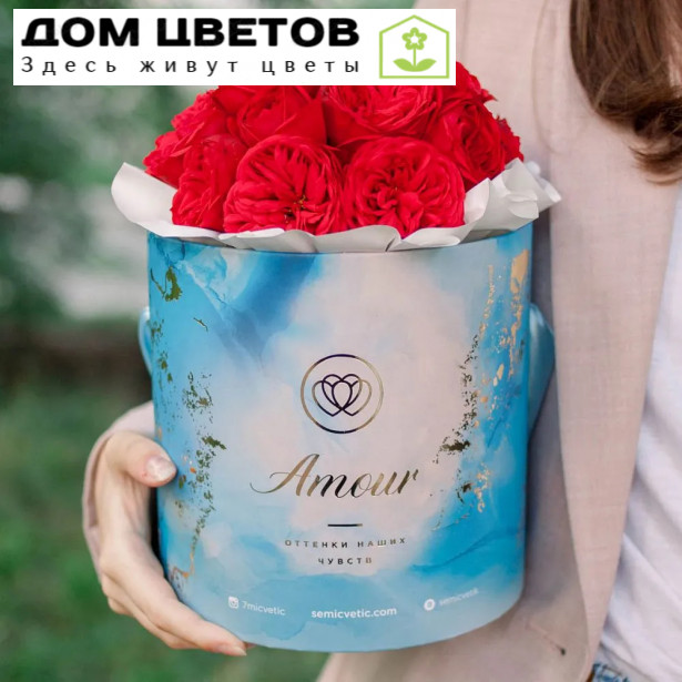 Букет в голубой шляпной коробке Amour Mini из 19 красных одноголовых пионовидных роз Red Piano