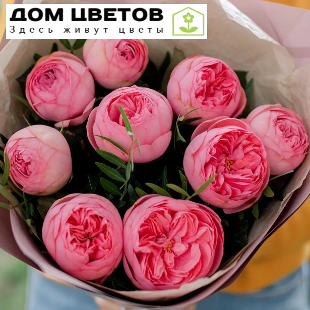 9 ярко-розовых одноголовых пионовидных роз Pink Piano 40 см с фисташкой