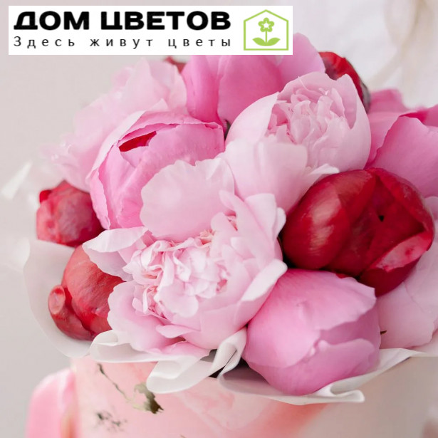 Букет в розовой шляпной коробке Amour Mini из 21 пиона микс Standart Plus