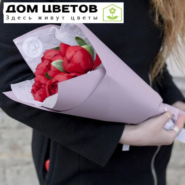 5 бордовых пионов Premium