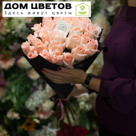 25 нежно-розовых роз (Эквадор) 70 см Engagement