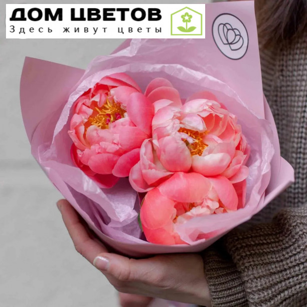 Букет из 3 коралловых пионов Premium