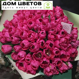 101 ярко-розовый тюльпан