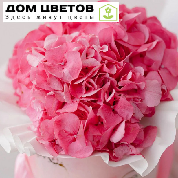 Букет в розовой шляпной коробке Amour Mini из 3 розовых гортензий