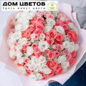 Букет из 51 белой и розовой кустовой розы микс 40 см (Эквадор)
