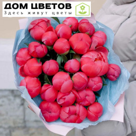 Букет из 25 коралловых пионов Premium