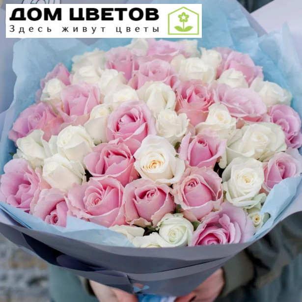 Букет из 51 розовой и белой розы 35 см (Россия)