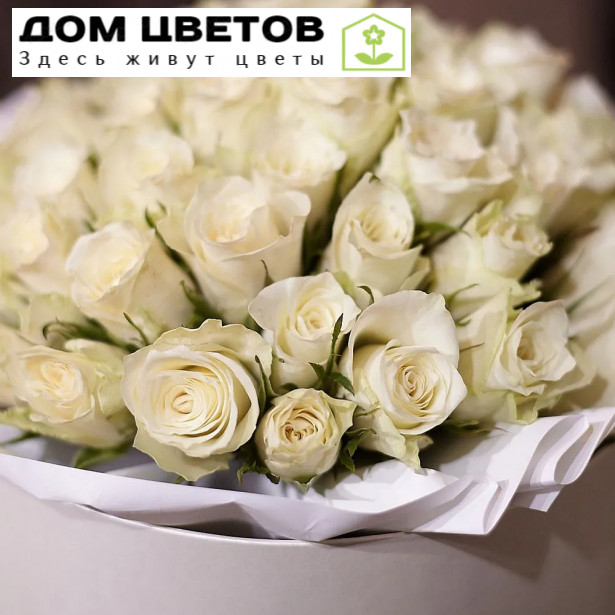 Букет в белой шляпной коробке Amour из 51 белой розы (Кения)