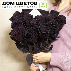 Букет из 15 черных роз 60 см (Эквадор)
