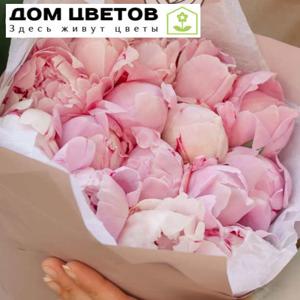 Букет из 15 розовых пионов Premium