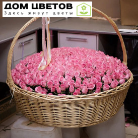 501 розовая роза Premium 40 см (Кения) в корзине