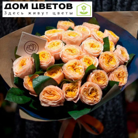 25 пионовидных роз Peach Vuvuzela