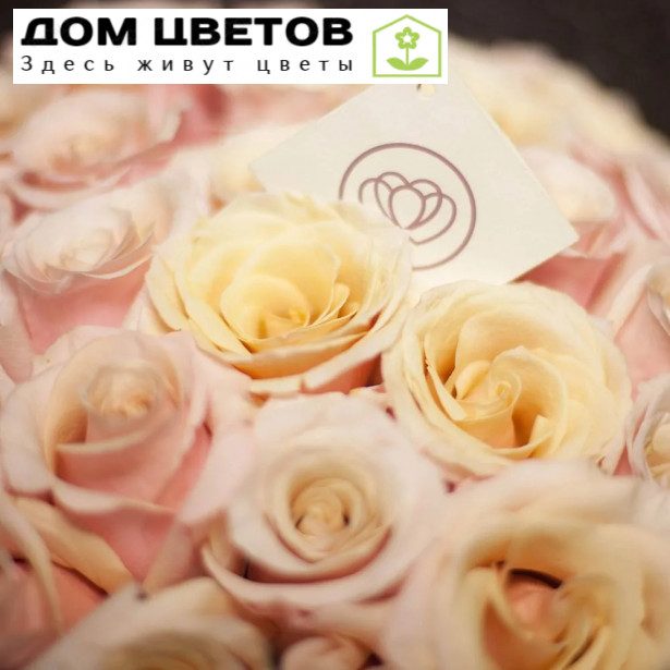 Букет из 25 нежно-розовых роз Mother of pearl 50 см (Эквадор)