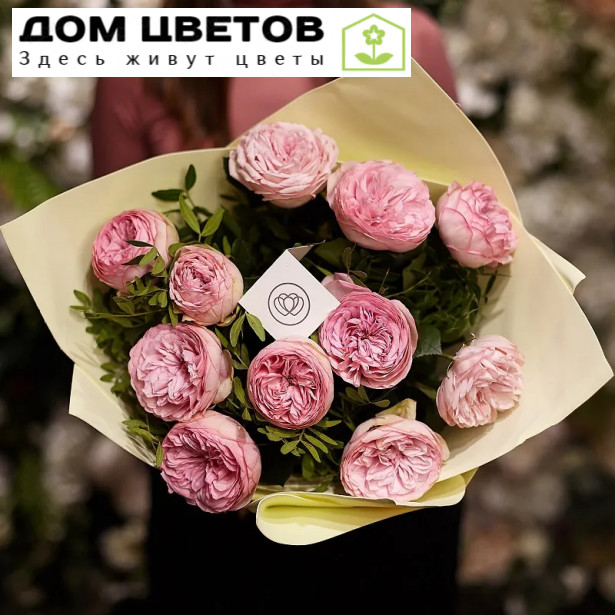 11 пионовидных роз Bridal Piano 50 см с зеленью