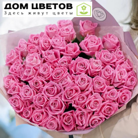 Букет из 51 малиновой розы 35-40 см (Россия)