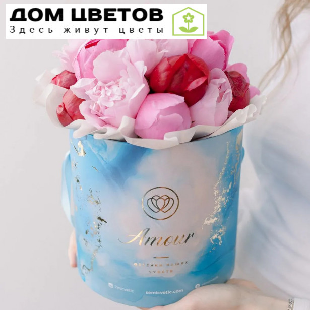 Букет в голубой шляпной коробке Amour Mini из 21 пиона микс Standart Plus