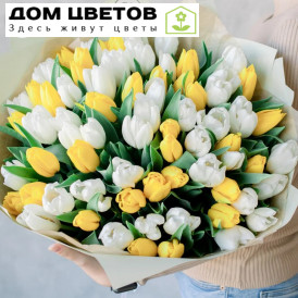 Букет из 75 желтых и белых тюльпанов