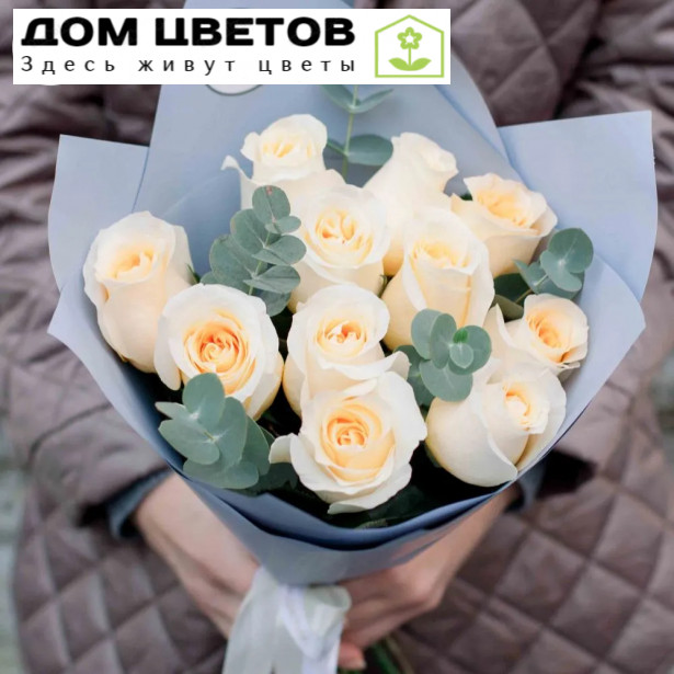 Букет из 11 кремовых роз Creme de la Creme 50 см (Эквадор) с эвкалиптом