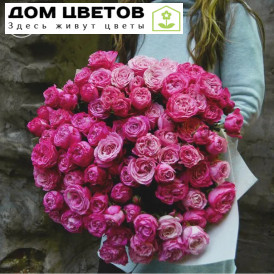 25 кустовых пионовидных роз Lady Bombastik 50 см