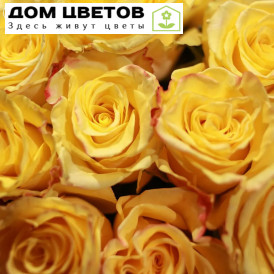 7 желтых роз (Эквадор) 50 см High Yellow Magic