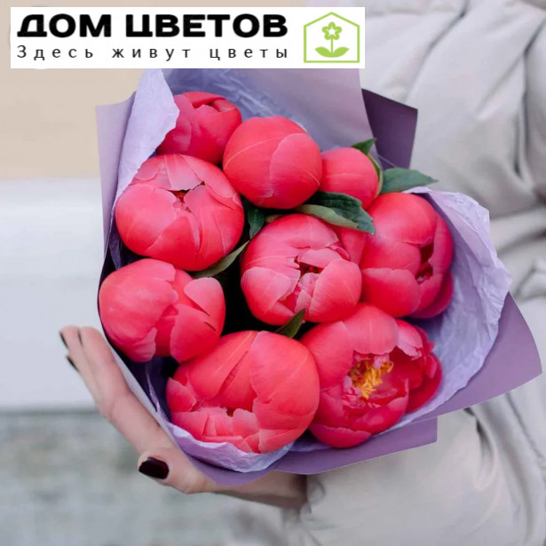 Букет из 9 коралловых пионов Premium