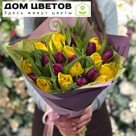 25 пионовидных желтых и фиолетовых тюльпанов