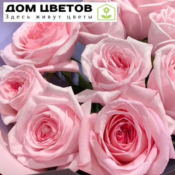 9 розовых пионовидных роз Pink O'Hara 40 см в упаковке