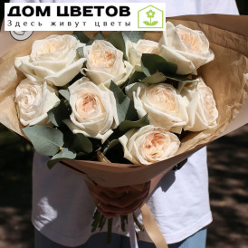 Букет из 9 белых одноголовых пионовидных роз White O'Hara 40 см с эвкалиптом