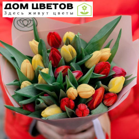 Букет из 25 желтых и красных тюльпанов