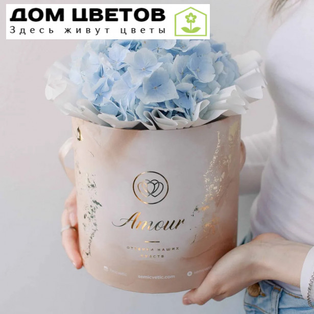 Букет в бежевой шляпной коробке Amour Mini из 3 голубых гортензий