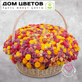 Корзина из 501 розы микс (Эквадор)