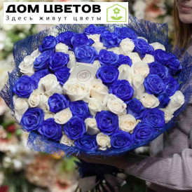 Букет из 71 белой и синей розы (Эквадор)