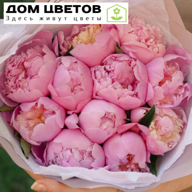 Букет из 11 розовых пионов Premium