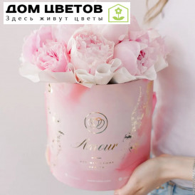 Букет в розовой шляпной коробке Amour Mini из 15 розовых пионов Premium