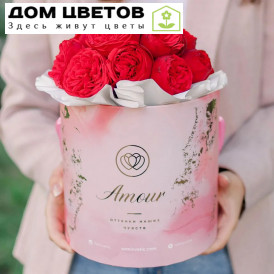 Букет в розовой шляпной коробке Amour Mini из 19 красных одноголовых пионовидных роз Red Piano