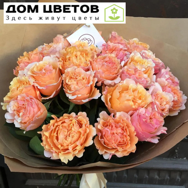 25 персиковых пионовидных роз 40 см Mayra's Peach