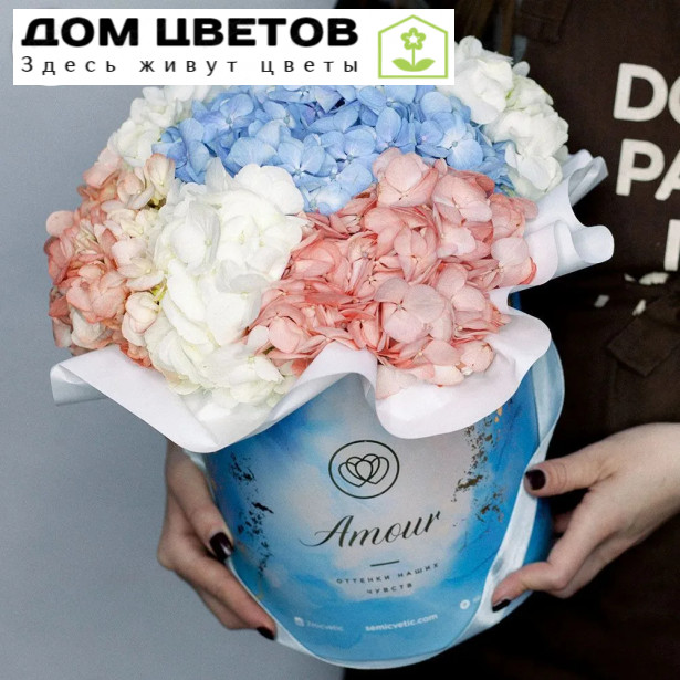 Букет в голубой шляпной коробке Amour Mini из 5 гортензий микс