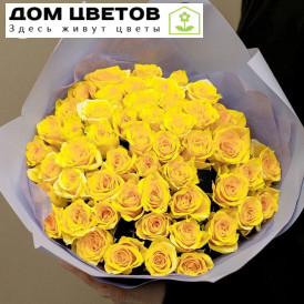 Букет из 51 желтой розы 35-40 см (Россия)
