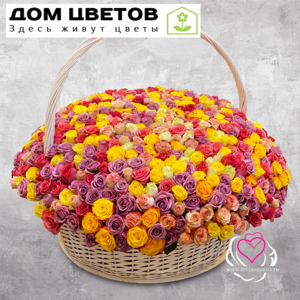 Корзина из 501 розы микс (Эквадор)