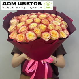 Букет из 33 кремово-розовых роз 50 см (Эквадор)