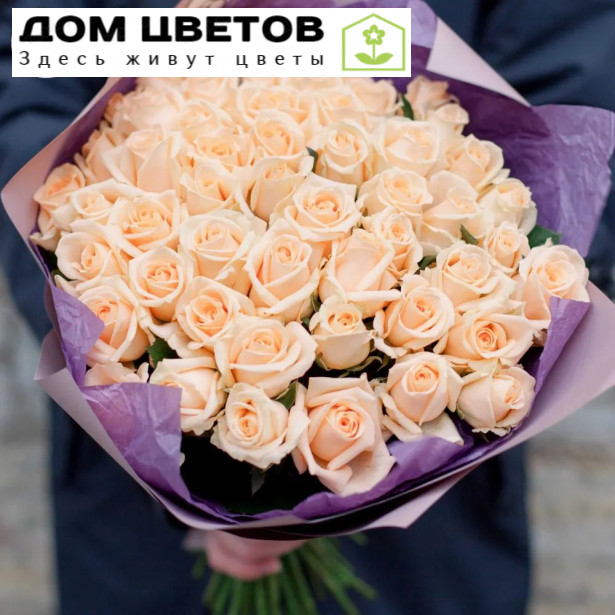Букет из 51 кремовой розы (Россия) 35-40 см Пич Аваланш