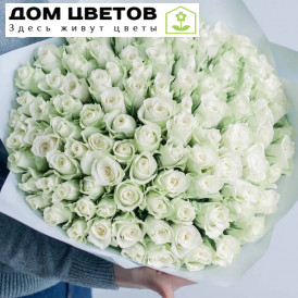Букет из 101 белой розы 40 см (Кения)
