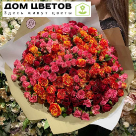 Букет из 51 кустовой розы 40 см микс